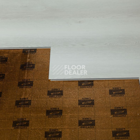 Tarkett Funky House JACK фото 2 | FLOORDEALER